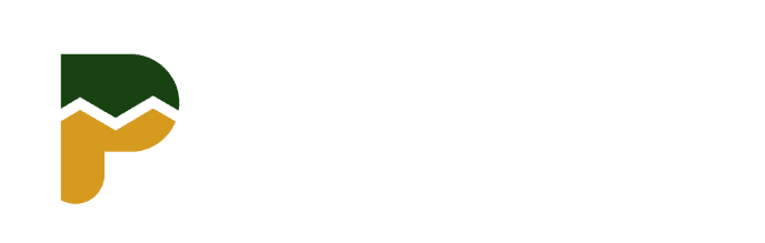 Purpose Driven Mindz
